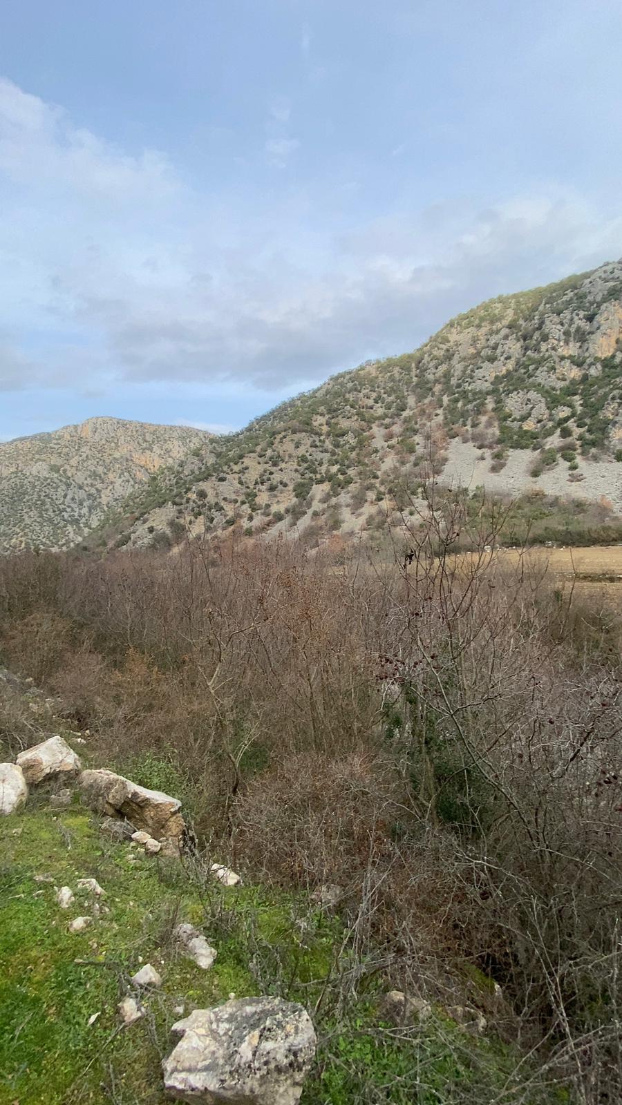 MABEL'DEN FIRSAT YATIRIMLIK DEV ARAZİ